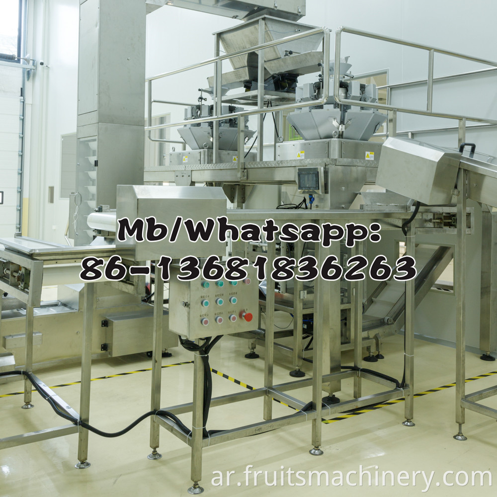 Small yogurt processing equipment